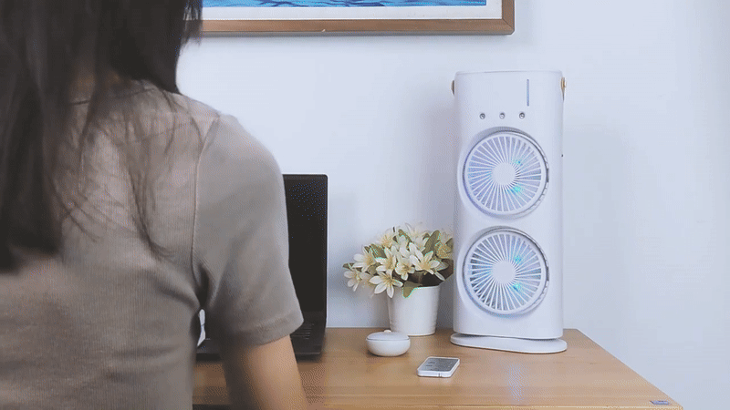 Double Ended Spray Fan